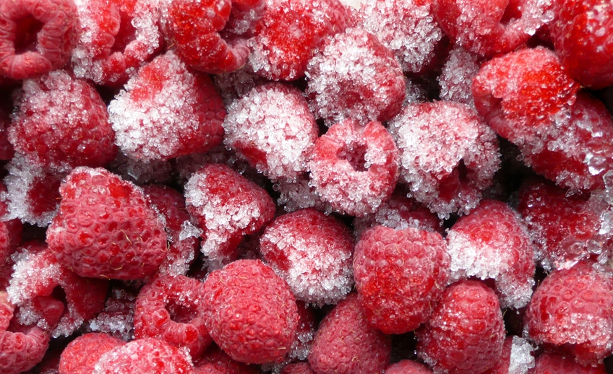 Важные нюансы в заморозке ягод